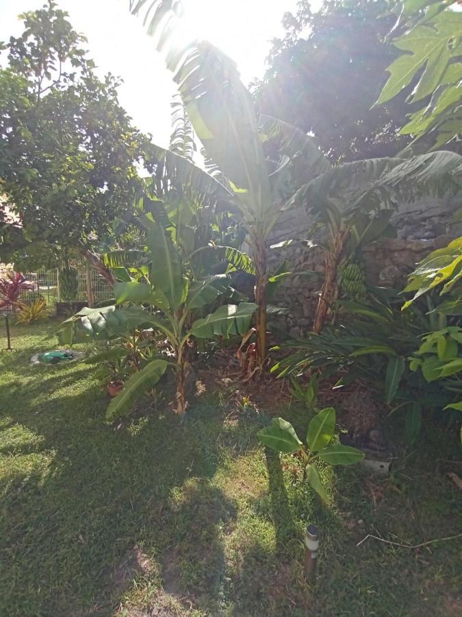 Le Goyavier Apartment Saint-Pierre Luaran gambar
